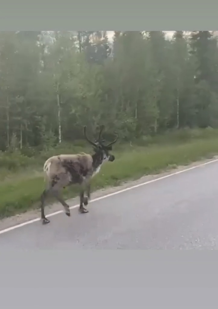 AUTEM ZA 4. 500 AŽ NA KONEC EVROPY