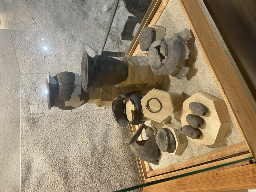 OBJEVOVÁNÍ VOLYNĚ