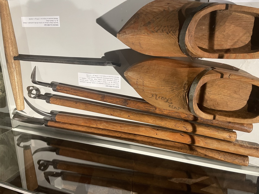 OBJEVOVÁNÍ VOLYNĚ