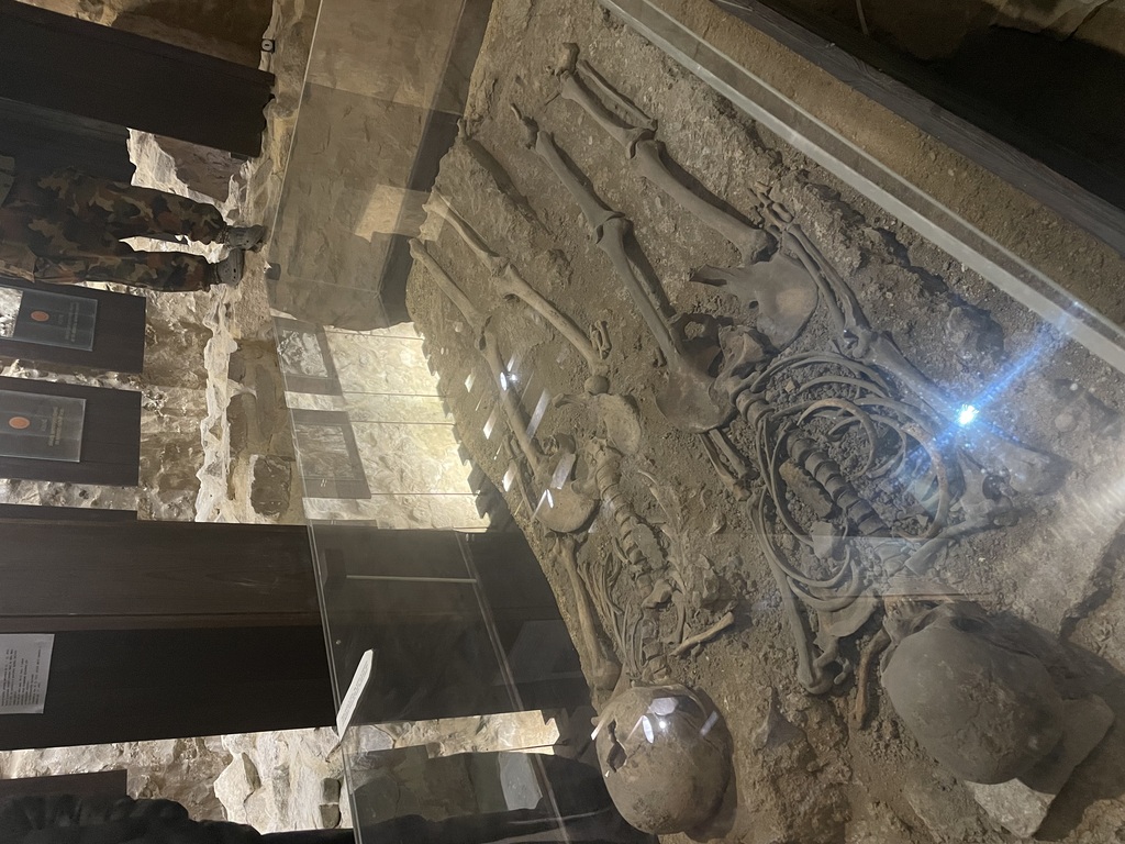 OBJEVOVÁNÍ VOLYNĚ